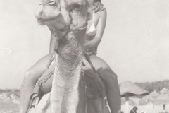 1978-Tunis-jase-u-Saharu-na-kamili